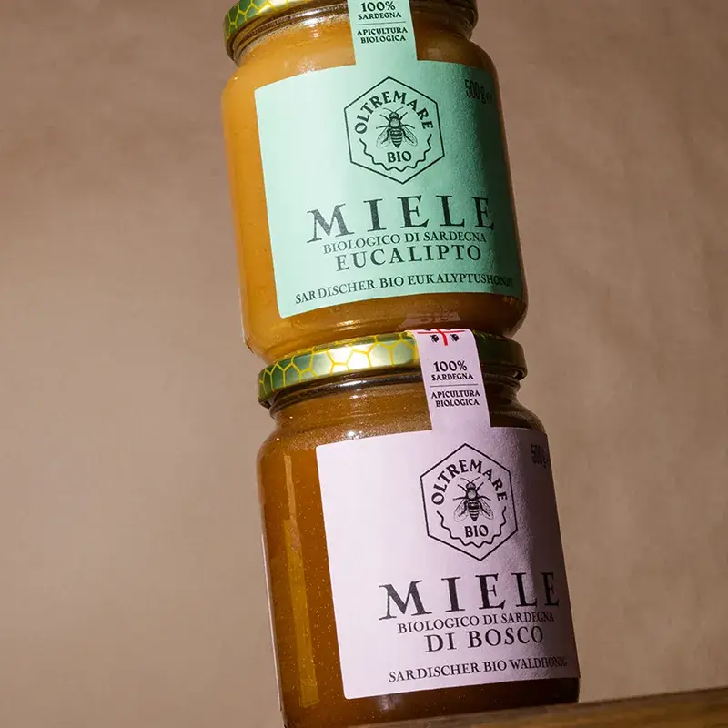 Organic raw eucalipto honey in a glass jar